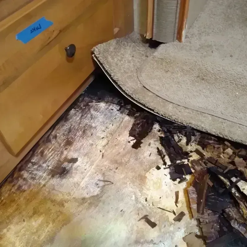 Wood Floor Water Damage in Valdez, AK